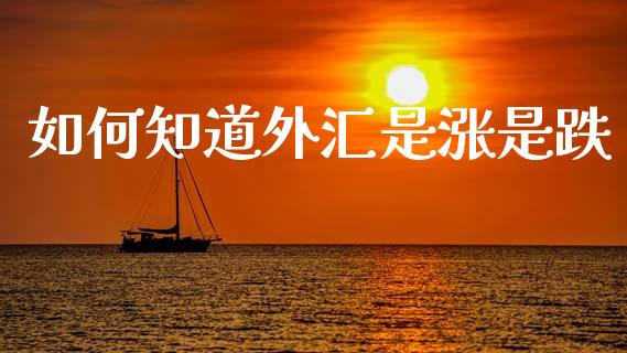 如何知道外汇是涨是跌_https://wap.hpmsj.cn_金融机构_第1张