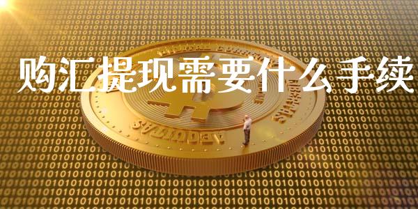 购汇提现需要什么手续_https://wap.hpmsj.cn_财经时评_第1张