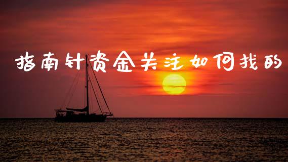 指南针资金关注如何找的_https://wap.hpmsj.cn_财经时评_第1张