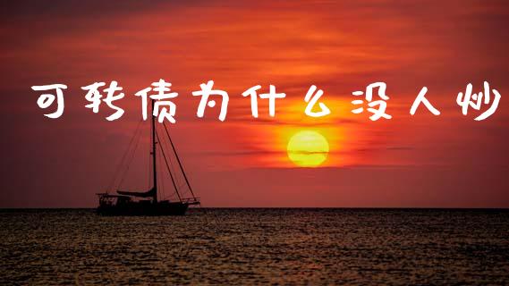 可转债为什么没人炒_https://wap.hpmsj.cn_外汇汇率_第1张