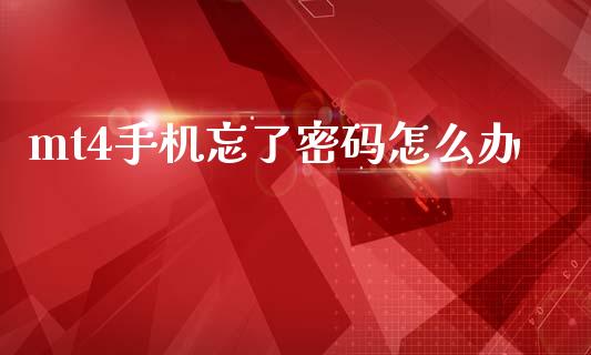 mt4手机忘了密码怎么办_https://wap.hpmsj.cn_财经时评_第1张