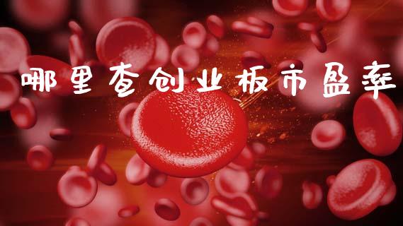哪里查创业板市盈率_https://wap.hpmsj.cn_期货交易_第1张