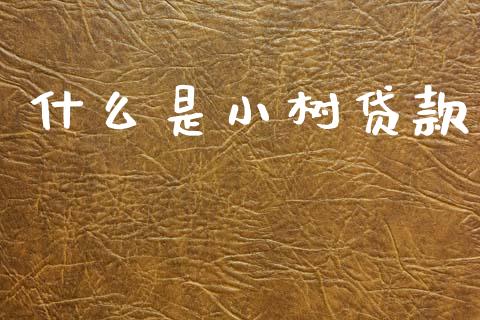 什么是小树贷款_https://wap.hpmsj.cn_金融机构_第1张