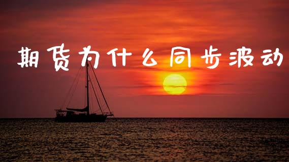 期货为什么同步波动_基金分析_第1张_财经时评_基金分析_期货交易_金融机构_外汇汇率_债券投资 期货为什么同步波动_https://wap.hpmsj.cn_基金分析_第1张