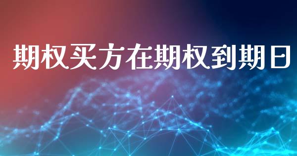 期权买方在期权到期日_https://wap.hpmsj.cn_外汇汇率_第1张