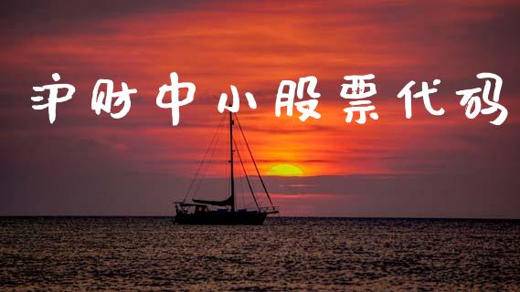 沪财中小股票代码_https://wap.hpmsj.cn_财经时评_第1张