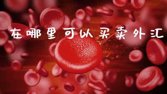 在哪里可以买卖外汇_https://wap.hpmsj.cn_债券投资_第1张