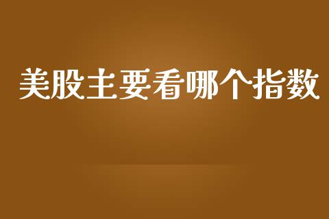 美股主要看哪个指数_https://wap.hpmsj.cn_外汇汇率_第1张