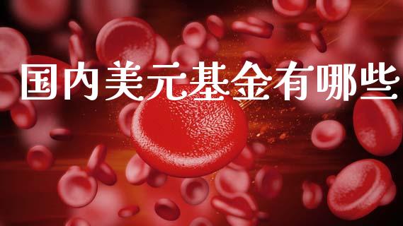 国内美元基金有哪些_https://wap.hpmsj.cn_基金分析_第1张