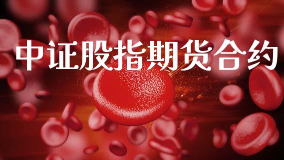 中证股指期货合约_https://wap.hpmsj.cn_外汇汇率_第1张