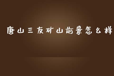 唐山三友矿山前景怎么样_https://wap.hpmsj.cn_基金分析_第1张