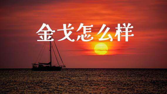 金戈怎么样_https://wap.hpmsj.cn_金融机构_第1张