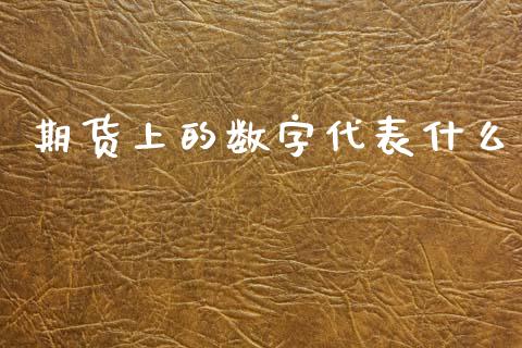 期货上的数字代表什么_https://wap.hpmsj.cn_期货交易_第1张