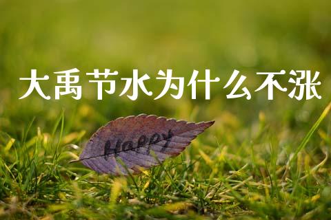大禹节水为什么不涨_https://wap.hpmsj.cn_债券投资_第1张