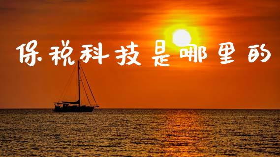 保税科技是哪里的_https://wap.hpmsj.cn_债券投资_第1张