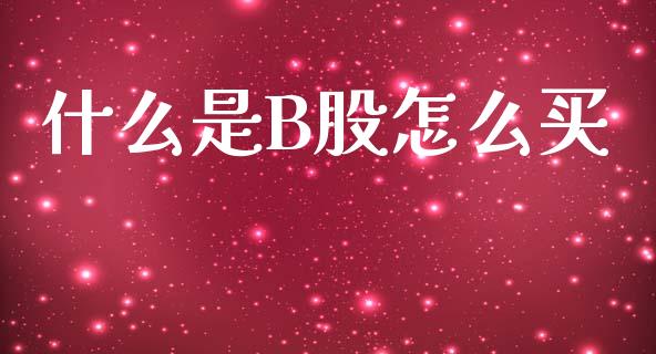 什么是B股怎么买_https://wap.hpmsj.cn_债券投资_第1张