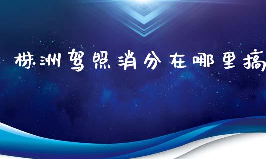 株洲驾照消分在哪里搞_https://wap.hpmsj.cn_债券投资_第1张