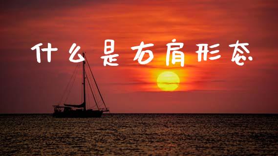 什么是右肩形态_https://wap.hpmsj.cn_债券投资_第1张