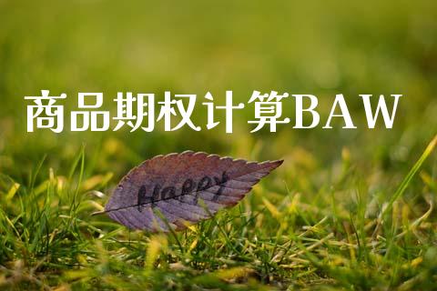 商品期权计算BAW_https://wap.hpmsj.cn_外汇汇率_第1张