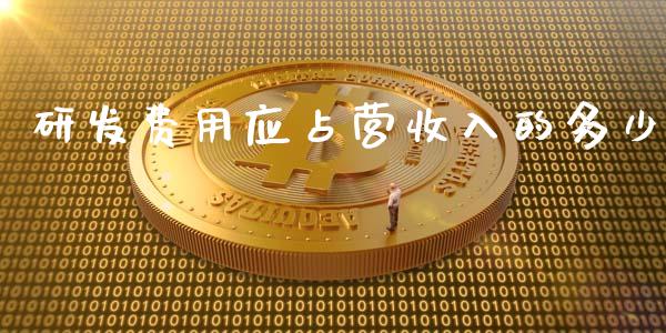 研发费用应占营收入的多少_https://wap.hpmsj.cn_基金分析_第1张