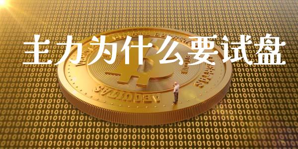 主力为什么要试盘_https://wap.hpmsj.cn_金融机构_第1张
