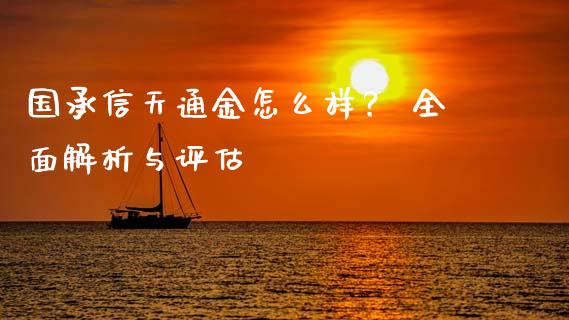 国承信天通金怎么样？ 全面解析与评估_https://wap.hpmsj.cn_债券投资_第1张