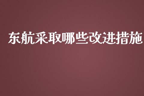 东航采取哪些改进措施_https://wap.hpmsj.cn_外汇汇率_第1张