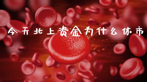 今天北上资金为什么休市_https://wap.hpmsj.cn_财经时评_第1张