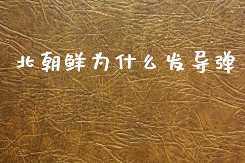 北朝鲜为什么发导弹_https://wap.hpmsj.cn_外汇汇率_第1张