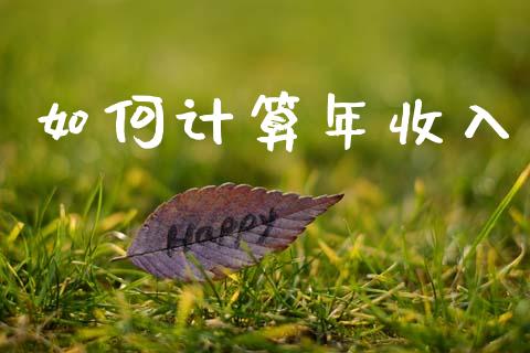 如何计算年收入_https://wap.hpmsj.cn_财经时评_第1张