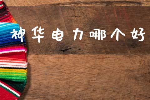 神华电力哪个好_https://wap.hpmsj.cn_财经时评_第1张