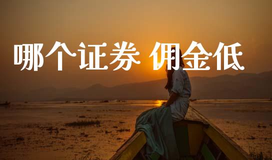 哪个证券 佣金低_https://wap.hpmsj.cn_期货交易_第1张