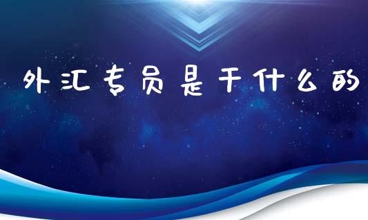 外汇专员是干什么的_https://wap.hpmsj.cn_金融机构_第1张