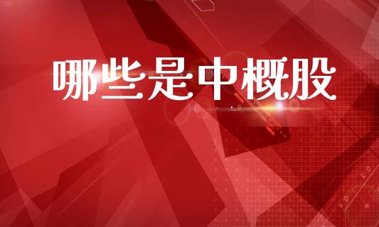 哪些是中概股_基金分析_第1张_财经时评_基金分析_期货交易_金融机构_外汇汇率_债券投资 哪些是中概股_https://wap.hpmsj.cn_基金分析_第1张