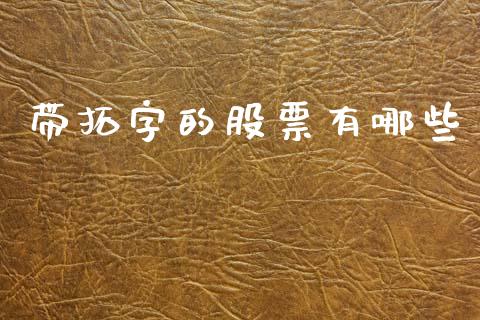 带拓字的股票有哪些_https://wap.hpmsj.cn_财经时评_第1张
