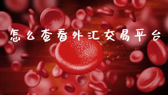怎么查看外汇交易平台_https://wap.hpmsj.cn_基金分析_第1张