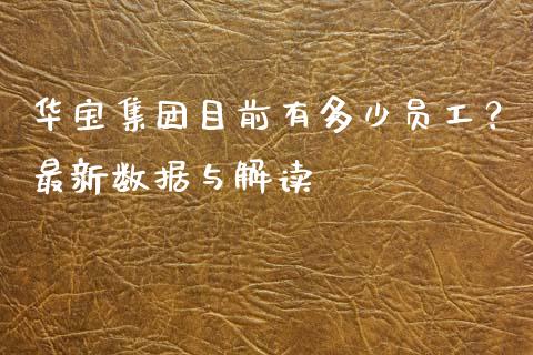 华宝集团目前有多少员工？最新数据与解读_https://wap.hpmsj.cn_债券投资_第1张
