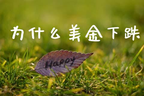 为什么美金下跌_https://wap.hpmsj.cn_财经时评_第1张