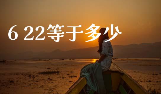 6 22等于多少_https://wap.hpmsj.cn_外汇汇率_第1张