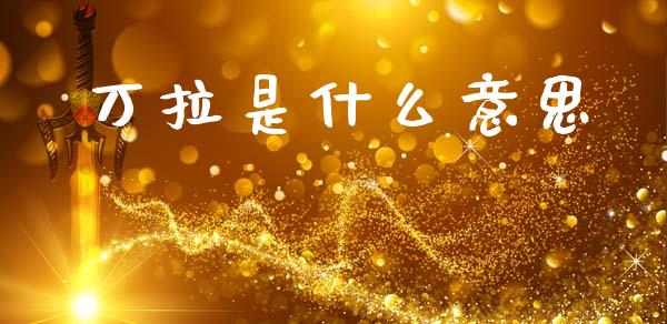 万拉是什么意思_https://wap.hpmsj.cn_基金分析_第1张