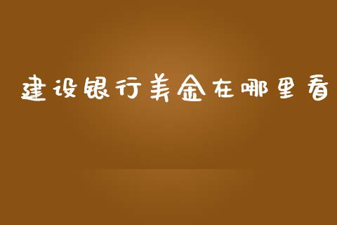 建设银行美金在哪里看_https://wap.hpmsj.cn_期货交易_第1张