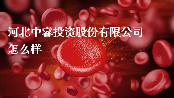 河北中睿投资股份有限公司怎么样_https://wap.hpmsj.cn_财经时评_第1张