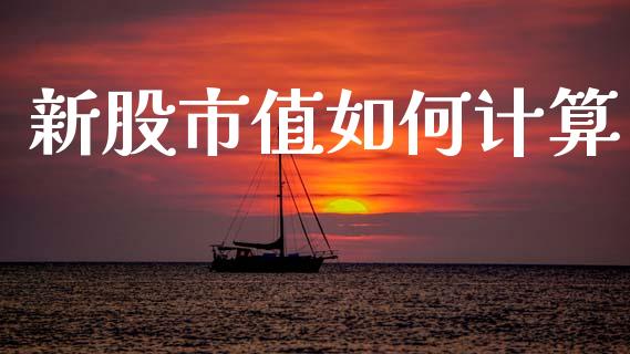 新股市值如何计算_https://wap.hpmsj.cn_财经时评_第1张