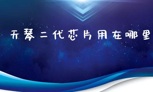 天琴二代芯片用在哪里_https://wap.hpmsj.cn_债券投资_第1张