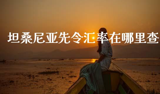 坦桑尼亚先令汇率在哪里查_https://wap.hpmsj.cn_财经时评_第1张