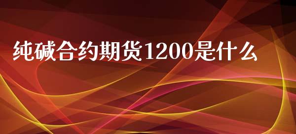 纯碱合约期货1200是什么_https://wap.hpmsj.cn_金融机构_第1张