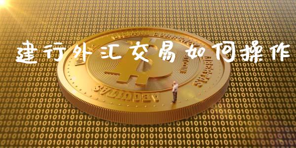 建行外汇交易如何操作_https://wap.hpmsj.cn_外汇汇率_第1张
