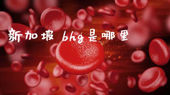 新加坡 bhg是哪里_https://wap.hpmsj.cn_基金分析_第1张