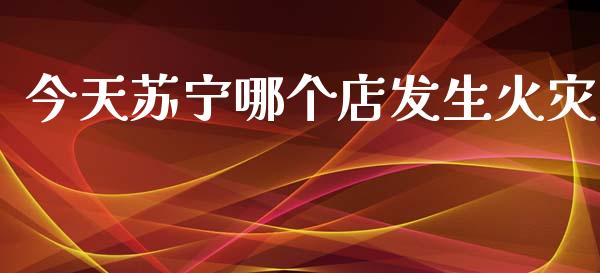 今天苏宁哪个店发生火灾_https://wap.hpmsj.cn_债券投资_第1张