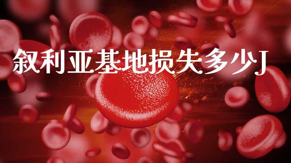 叙利亚基地损失多少J_https://wap.hpmsj.cn_财经时评_第1张